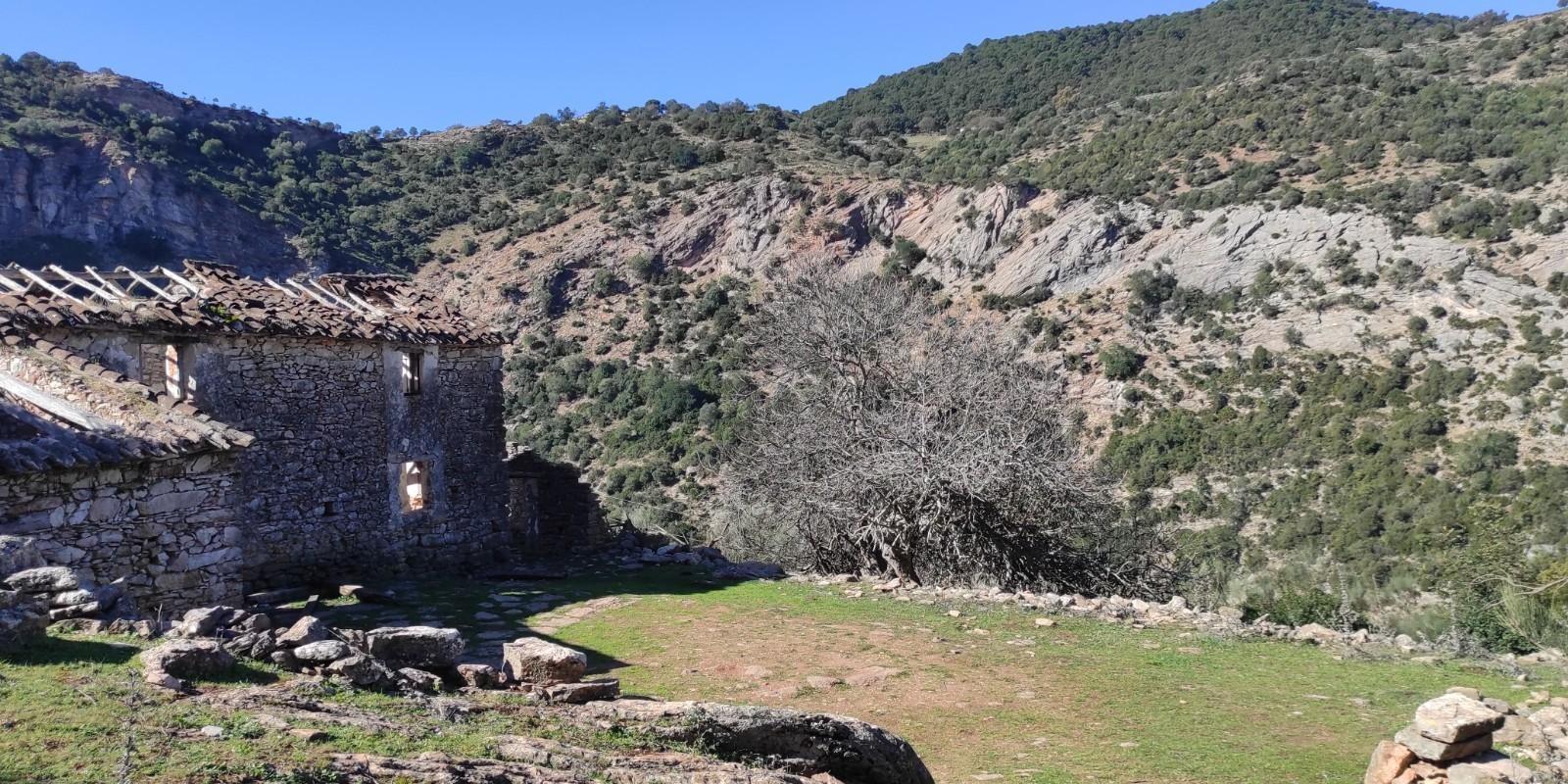 Errores al Comprar tu Primera Casa en España